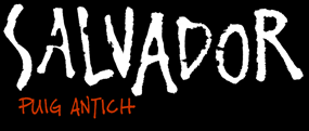 Salvador Puig Antich